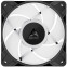 case fan Arctic P12 Pro A-RGB Black (3 pcs) - ACFAN00310A - photo 4