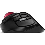 Trekbols Kensington Orbit Fusion (K72363WW)