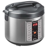 Multicooker REDMOND RMC-M252 Silver