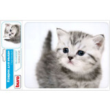 Peles paliktnis Buro BU-M40087 Kitten