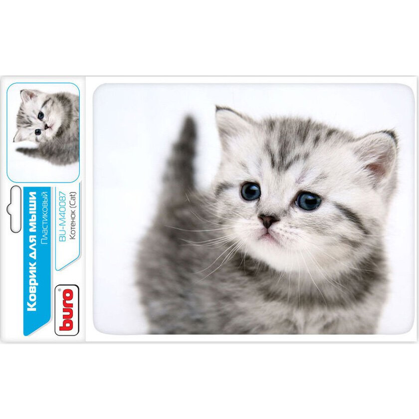 Peles paliktnis Buro BU-M40087 Kitten