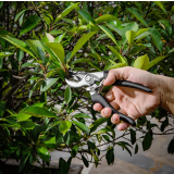 bush cutter Deli DL580002