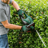 bush cutter Bosch UniversalHedgeCut 50 (06008C0501)