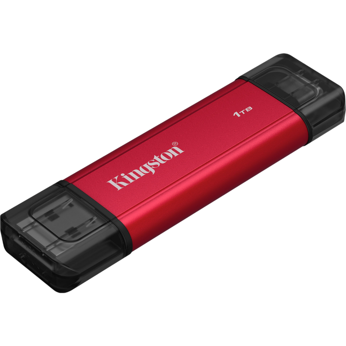 Externer SSD-Speicher 1TB Kingston Dual Portable (SPSD/1TB)