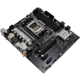 Carte mère Biostar A620MP-E PRO