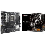Carte mère Biostar A620MP-E PRO
