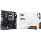 Carte mère Biostar A620MT-E 2.0