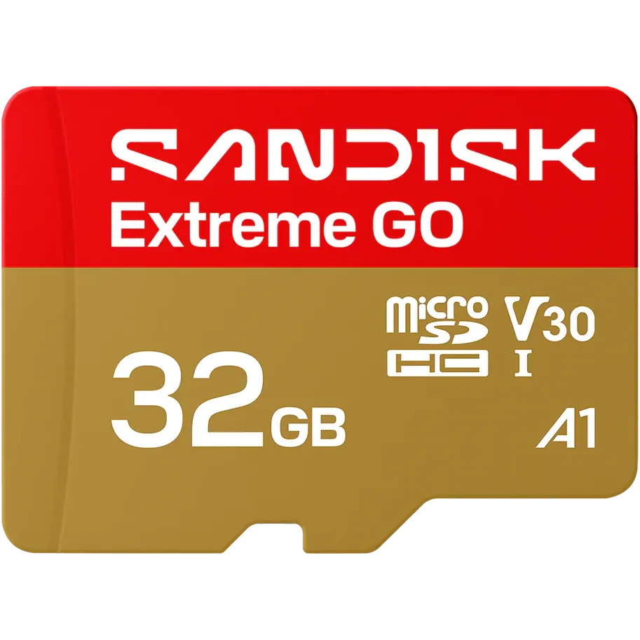 Carte mémoire 32GB MicroSD SanDisk Extreme GO (SDSQXGN-032G-GN6MN)