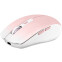 Mouse T'nB Sans fil Gradient Pink - MWGRADIENTPK