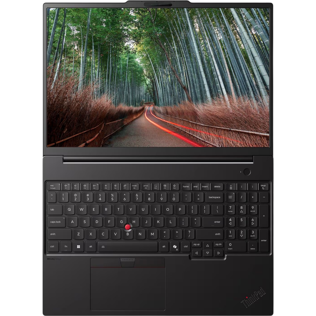 Ordinateur portable Lenovo ThinkPad P16s Gen 5 (Intel) (21XE000UFR) - photo 7
