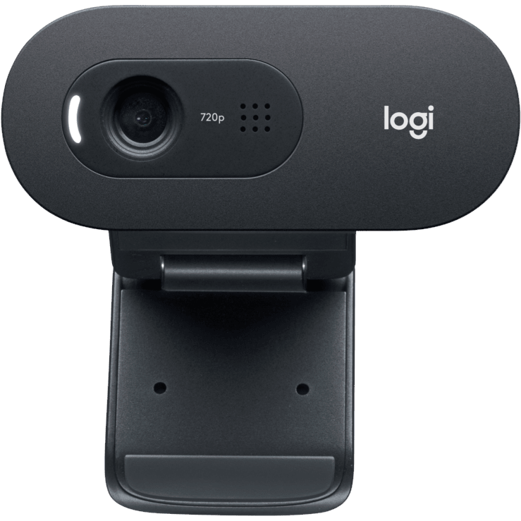 Caméra Web Logitech WebCam C505 HD (960-001364) - photo 2