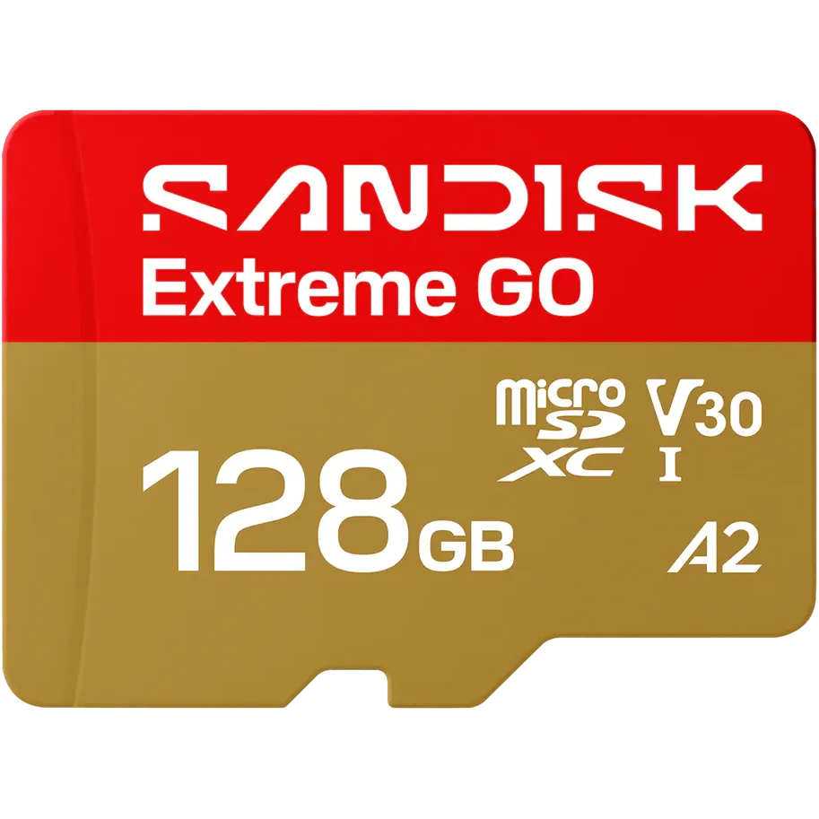 Carte mémoire 128GB MicroSD SanDisk Extreme GO (SDSQXGN-128G-GN6MN)