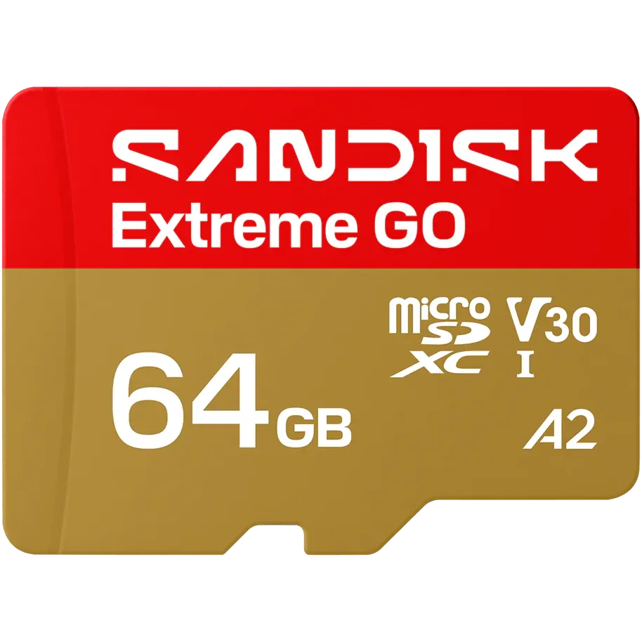 Carte mémoire 64GB MicroSD SanDisk Extreme GO (SDSQXGN-064G-GN6MN)