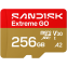 Memory Card 256GB MicroSD SanDisk Extreme GO (SDSQXGN-256G-GN6MN)