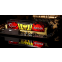 Mémoire vive 16GB DDR-III 1333MHz G.Skill Aegis (F3-1333C9D-16GIS) (2x8GB KIT) - photo 2