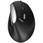 Souris Rapoo EV200 Black