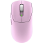 Souris MSI Forge GM340 Wireless Violet - S12-4301810-HH9