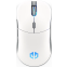 Mouse Endorfy Gem Plus Onyx RGB White (EY6A015)