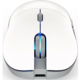 Souris Endorfy Gem Plus Onyx RGB White (EY6A015)