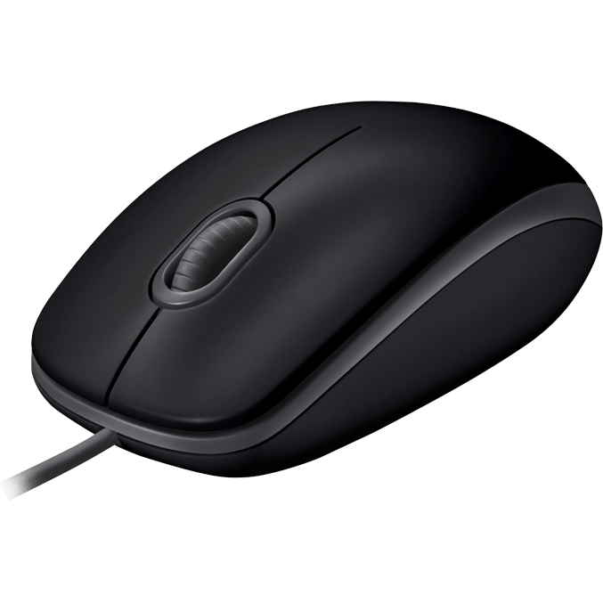 Mouse Logitech B110 Silent Black (910-005508)