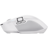 Mouse Trust Ozaa+ White (24935)