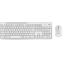Keyboard + Mouse Logitech MK295 Silent Wireless Combo White (920-009820)