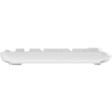 Keyboard + Mouse Logitech MK295 Silent Wireless Combo White (920-009820)