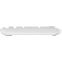 Keyboard + Mouse Logitech MK295 Silent Wireless Combo White (920-009820) - photo 4