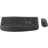 Keyboard + Mouse Logitech MK880 For Graphite (920-014048)