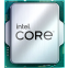 Processeur Intel Processor 300 OEM - CM8071505091904