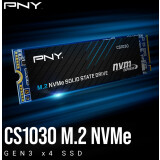 SSD interne 256GB PNY CS1030 (M280CS1030-256-BLK)