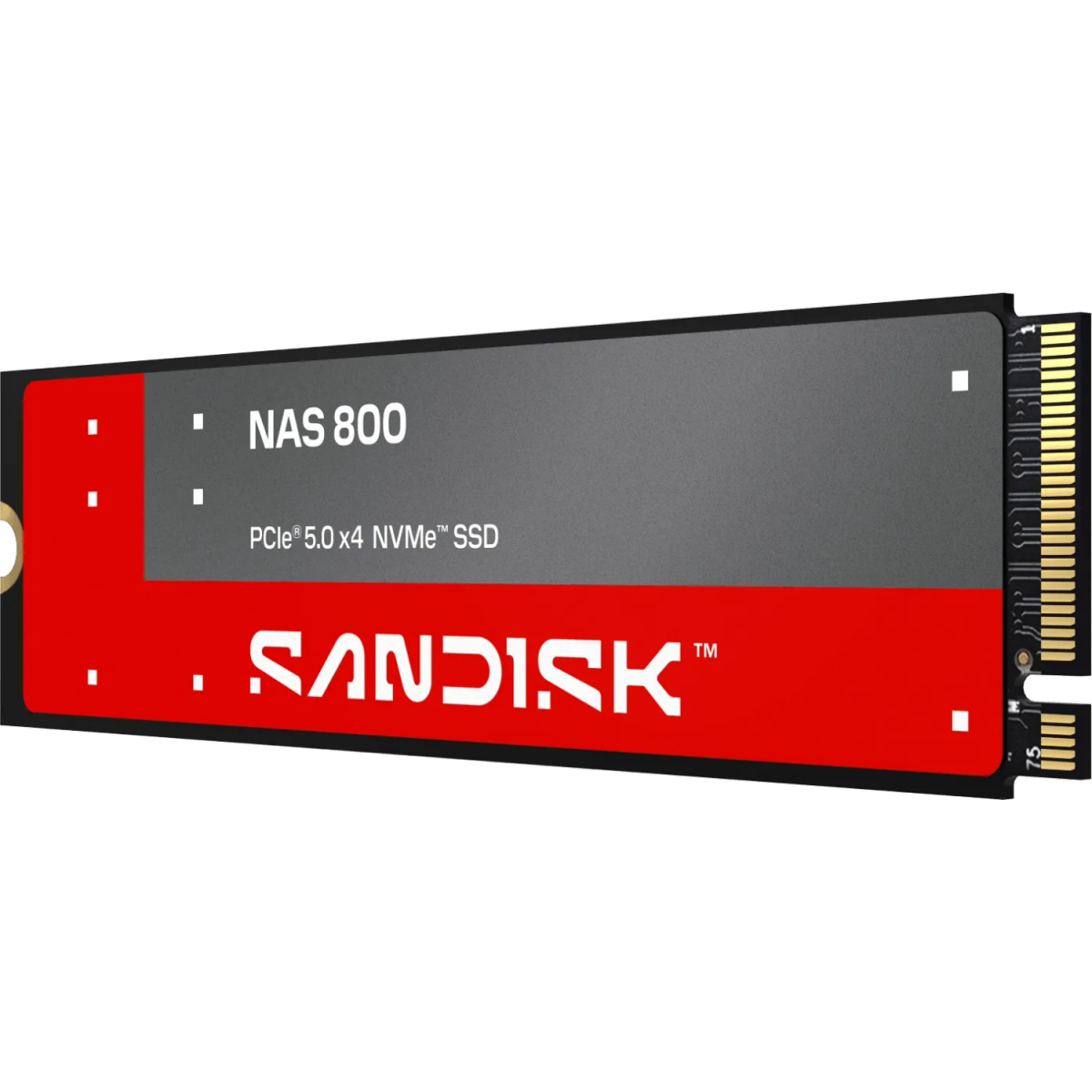 Stockage SSD 960GB SanDisk NAS 800 (SDSNP2960GAN)