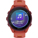 Montres connectées Garmin Forerunner 170 Music Red Pink with Red Pink/Mango Band (010-03920-13)