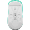 Souris Fury Tanto T4 Mint - TANTO T4 - photo 9