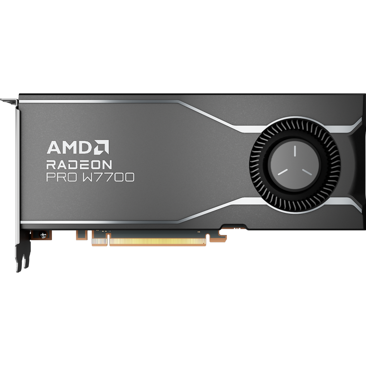 Carte graphique AMD Radeon Pro W7700 16GB (100-300000006)