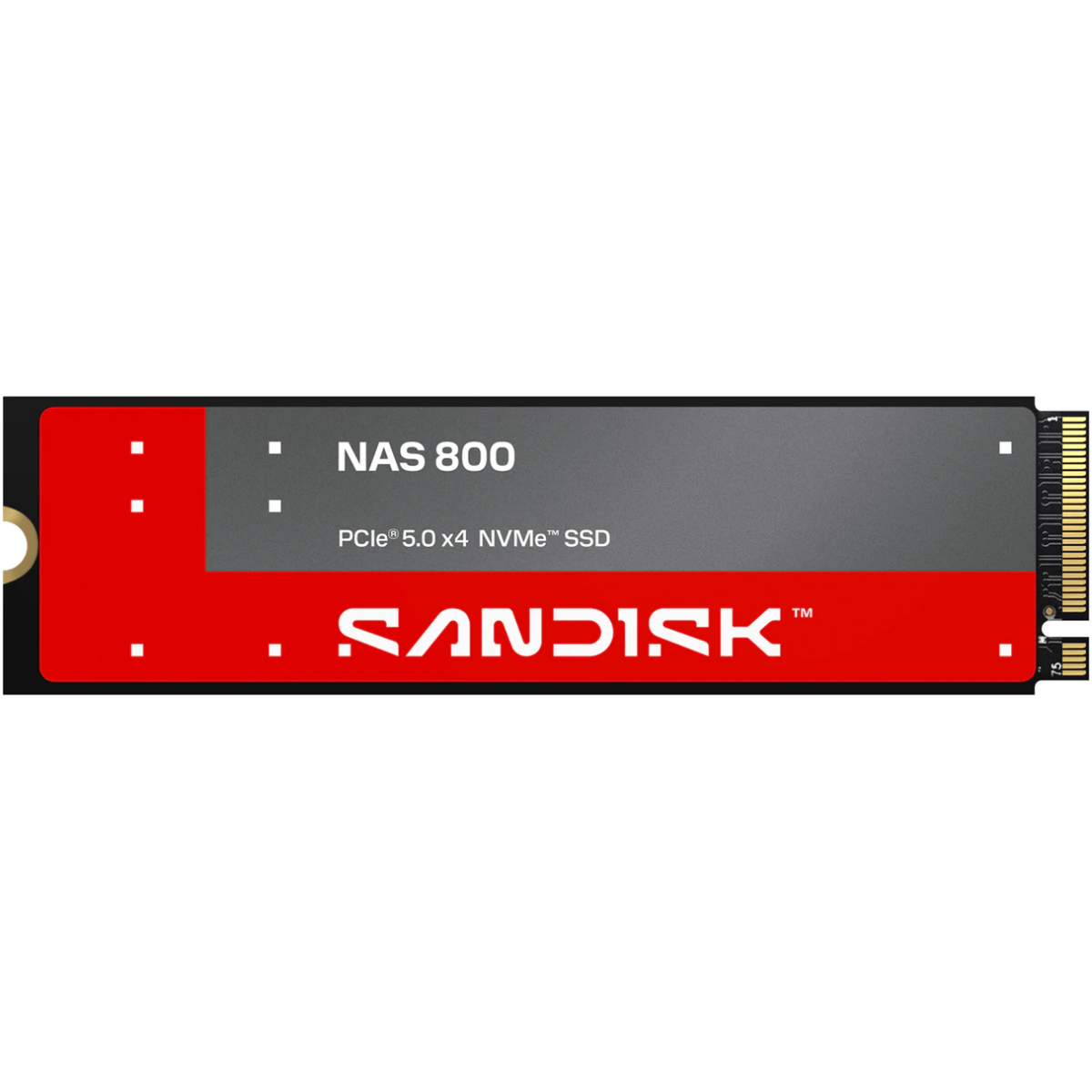 Stockage SSD 3.84TB SanDisk NAS 800 (SDSNP2384TAN)