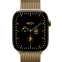 Умные часы Apple Watch Series 12 46mm 5G Radiant Gold Titanium Case with Radiant Gold Milanese Loop M/L - MJGV4ZR/A - photo 2
