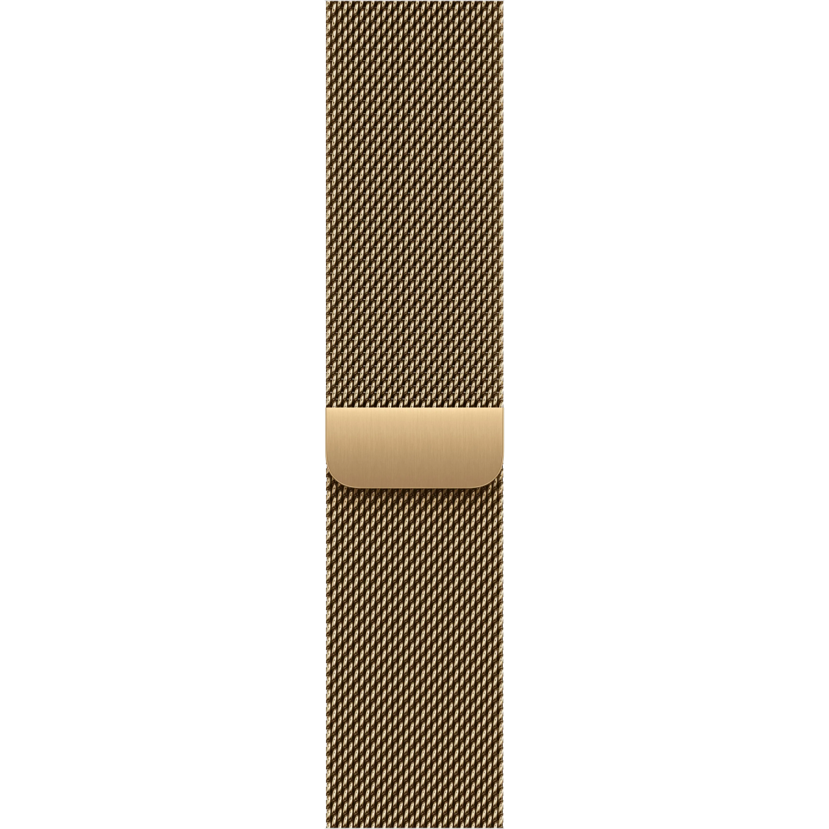 Умные часы Apple Watch Series 12 46mm 5G Radiant Gold Titanium Case with Radiant Gold Milanese Loop M/L - MJGV4ZR/A - photo 3