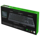 Tastatūra Razer Cynosa Lite (RZ03-02741500-R3R1)