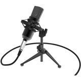 Mikrofons Ritmix RDM-160 Black