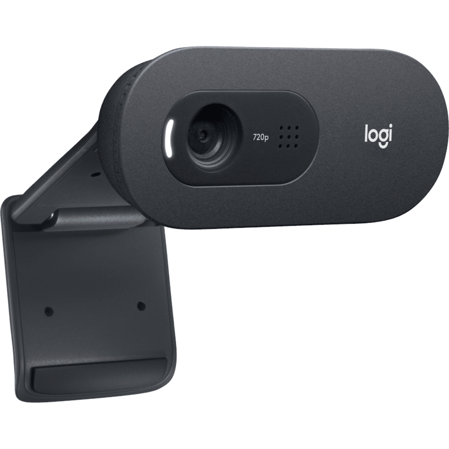 Web kamera Logitech WebCam C505 HD (960-001364) - foto 3