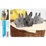 Peles paliktnis Buro BU-M40092 Rabbits