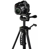 Tripods HAMA H-4096 Gamma 153 (00004096)