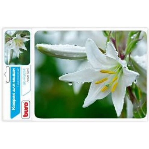 Peles paliktnis Buro BU-M20041 Lily