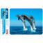 Peles paliktnis Buro BU-M40083 Dolphins