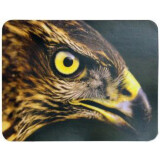 Peles paliktnis Buro BU-M40005 Eagle