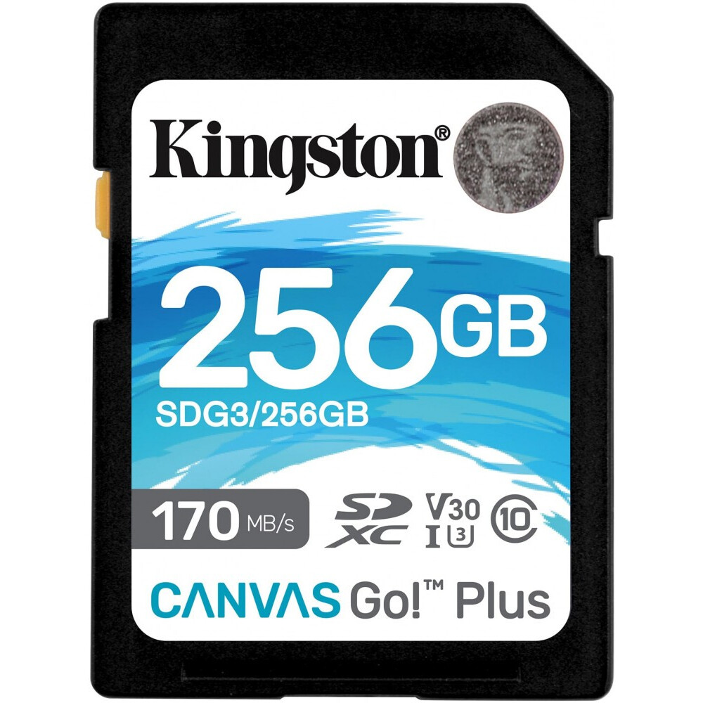 Atmiņas kartes 256Gb Kingston SD 256Gb (SDG3/256GB)