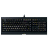 Tastatūra Razer Cynosa Lite (RZ03-02741500-R3R1)