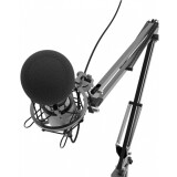 Mikrofons Ritmix RDM-180 Black