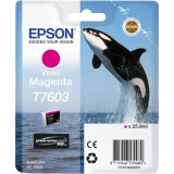Kasetne Epson C13T76034010 Magenta